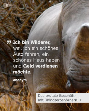 Image post by @zdf.de on Instagram
