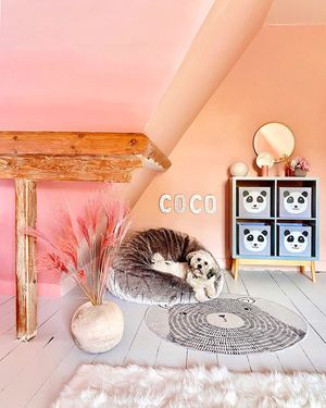 Image post by @annalysejacobs on Instagram