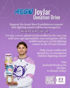 Image post by @anaheimducksfoundation on Instagram