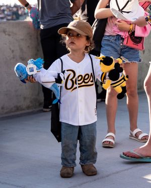 Image post by @saltlakebees on Instagram