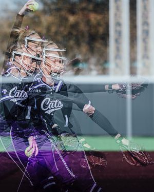 Video post by @alybaylissphotography on TikTok