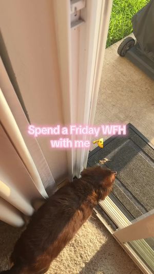 Video post by @kate.cassaidy on TikTok