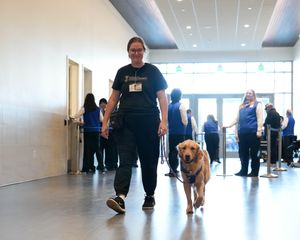 Image post by @sjbarracuda on Instagram