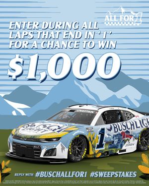 Image post by @BuschBeer on Twitter