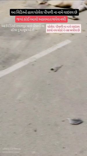 Video post by @amazing_dholera on Instagram