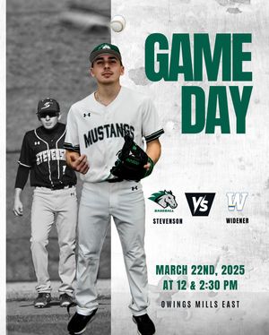 Image post by @stevensonbsb on Instagram