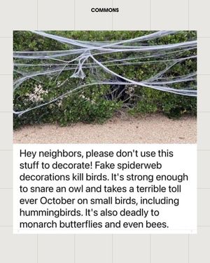 Image post by @commonsearth on Instagram