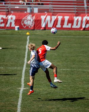 Image post by @iwuwildcats on Instagram