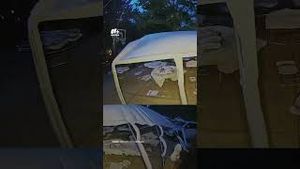 Video post by @nmasunivision on YouTube