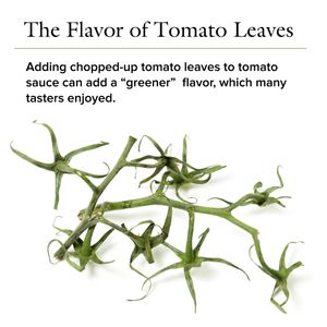 Image post by @cooksillustrated on Instagram