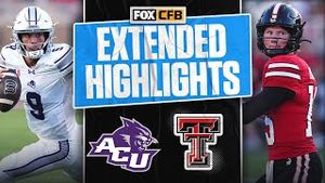 Video post by @cfbonfox on YouTube