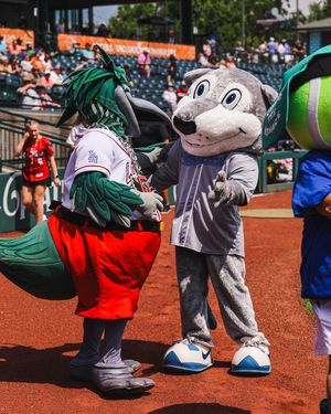 Image post by @nutimberwolves on Instagram