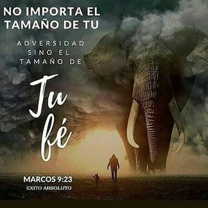 Image post by @israelgalindov on Instagram