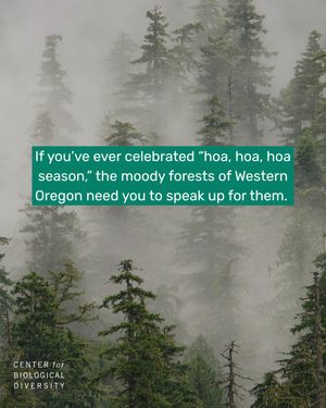 Image post by @centerforbiodiv on Instagram