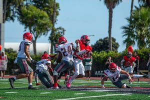 Image post by @zoeneumer on Instagram