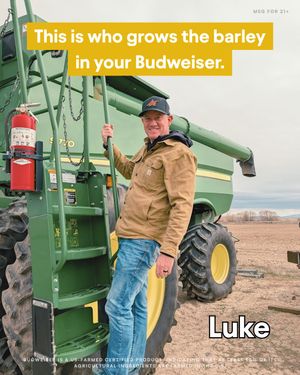 Image post by @anheuserbusch on Instagram