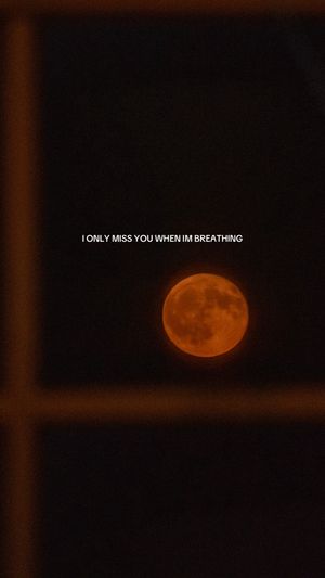 Video post by @bysophiedoyne on TikTok