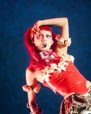 Image post by @localwolves on Instagram