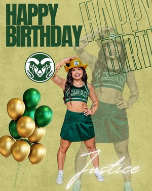 Image post by @csucheerleading on Instagram