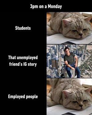 Image post by @9gag on Instagram