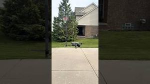 Video post by @dreffects on YouTube