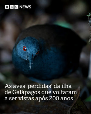 Image post by @bbcbrasil on Instagram