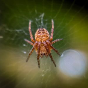 Image post by @lathanuelf_photos on Instagram