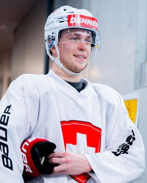 Image post by @swissicehockeymen on Instagram