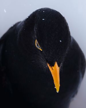 Image post by @unsplash on Instagram