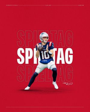 Image post by @patriotsdeutschland on Instagram