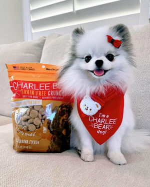 Image post by @charlee_bear_dogtreats on Instagram