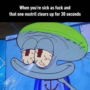 Image post by @9gag on Instagram