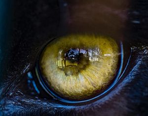 Image post by @alandodominguez on Instagram