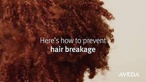 Video post by @aveda on YouTube