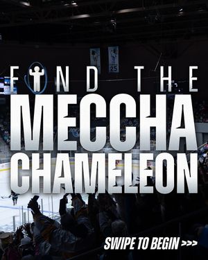 Image post by @pcolaiceflyers on Instagram