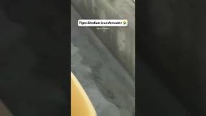 Video post by @cfbonfox on YouTube