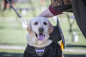 Image post by @vanderbiltu on Instagram