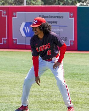 Image post by @unmlobobaseball on Instagram