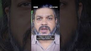Video post by @bbcearth on YouTube