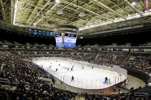 Image post by @sanjosesharks on Instagram