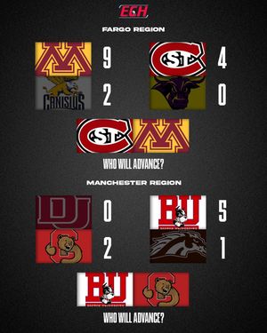 Image post by @everythingcollegehockey on Instagram