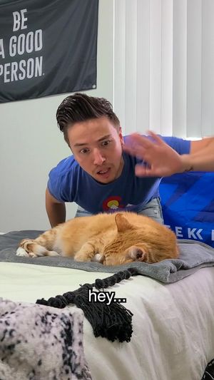 Video post by @kurttocci on TikTok