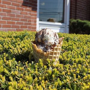 Image post by @friendlys on Instagram