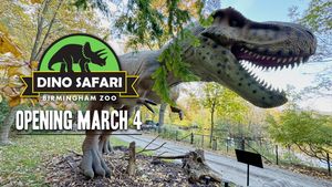Image post by @bhamzoo on Instagram