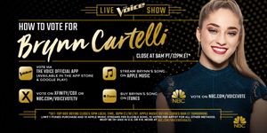 Image post by @BrynnCartelli on Twitter