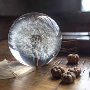 Image post by @leafyaffair on Instagram