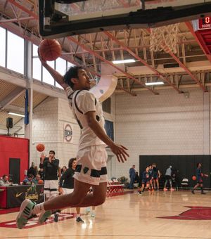 Image post by @bovadawg.visuals on Instagram