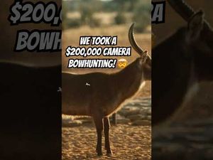 Video post by @BowmarBowhunting on YouTube