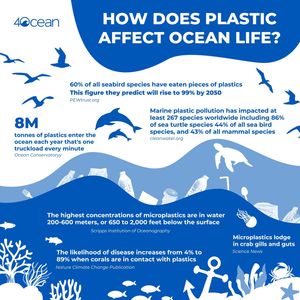 Image post by @4ocean on Instagram