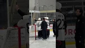 Video post by @penguins on YouTube